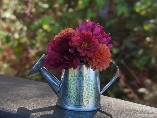 🪴 Welcome to Hope Gardens 🪴 (Christian gifts, encouragement, mental health, plants and garden))