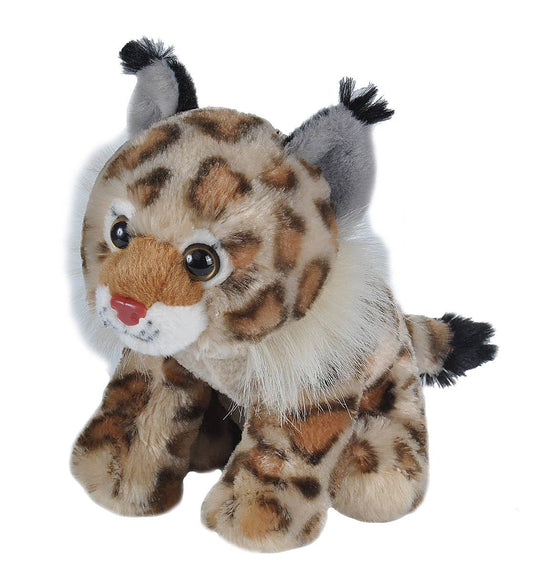 CK-Mini Bobcat Stuffed Animal 8"