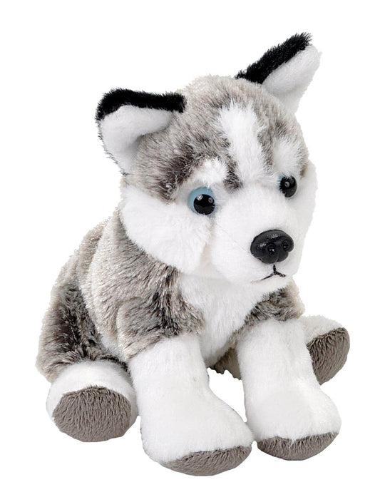 Pocketkins-ECO-Dog Husky Stuffed Animal 5"